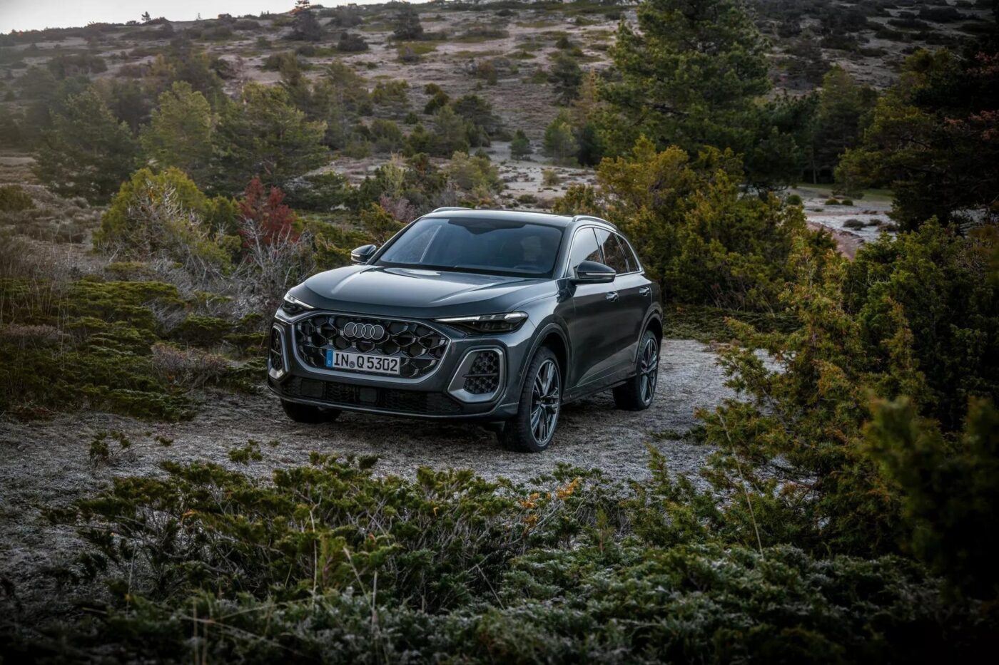 Nội thất Audi Q8 2025 với bảng táp-lô tối giản và màn hình cảm ứng