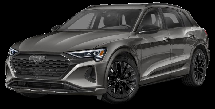 dong-co-dien-audi-q8-e-tron-2024