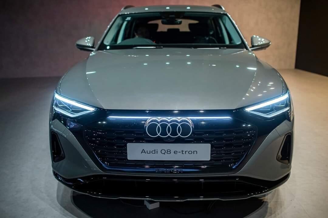 luoi-tan-nhiet-audi-q8-e-tron-2024