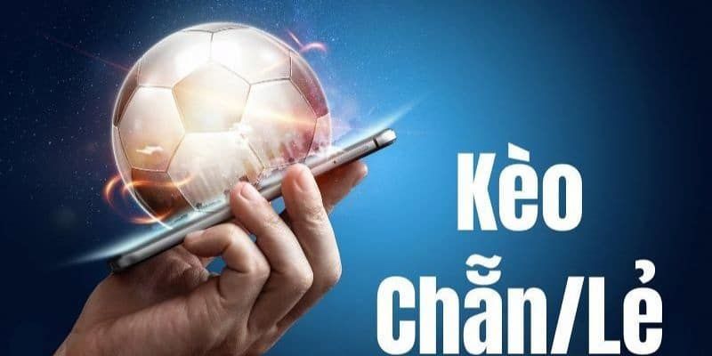 Khám phá thế giới cá cược Online tại MAY88