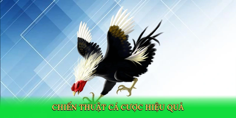 Đá Gà Cựa Dao: Chinh Phục Đấu Trường Gà Số Mãnh Liệt Tại 88NN