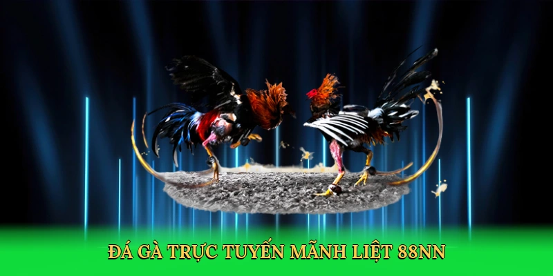 Đá Gà Cựa Dao: Chinh Phục Đấu Trường Gà Số Mãnh Liệt Tại 88NN