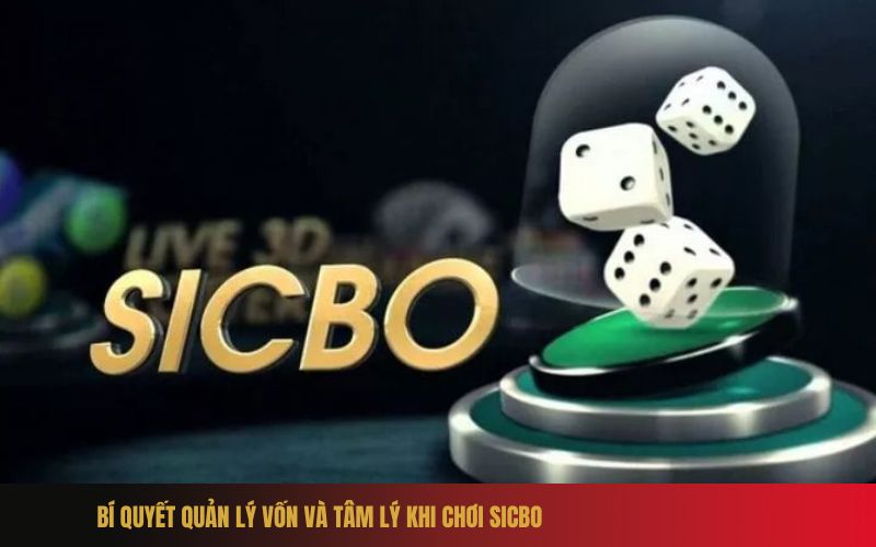 Kinh nghiệm chơi Sicbo online từ cao thủ