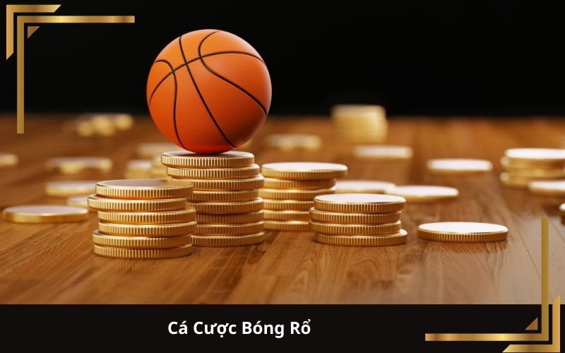 Cá Cược Bóng Rổ