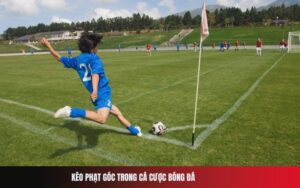Tìm Hiểu Về Mobin Sườn: Tác Dụng và Những Điều Cần Biết