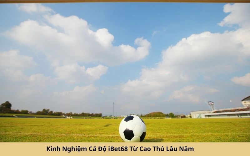 Kinh Nghiệm Cá Độ iBet68 Từ Cao Thủ Lâu Năm